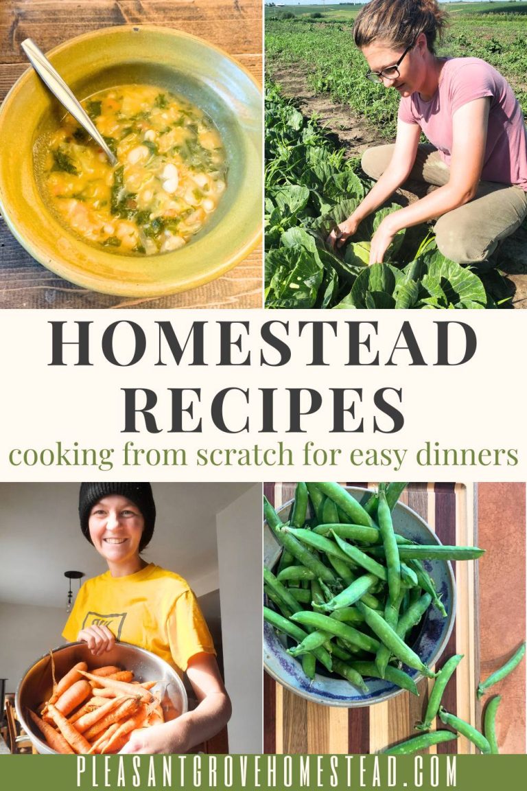 Homestead Recipes: Cooking From Scratch For Easy Dinners