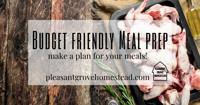 Budget Friendly Meal Prep: Making a plan for meals