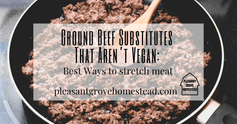 image of ground beef