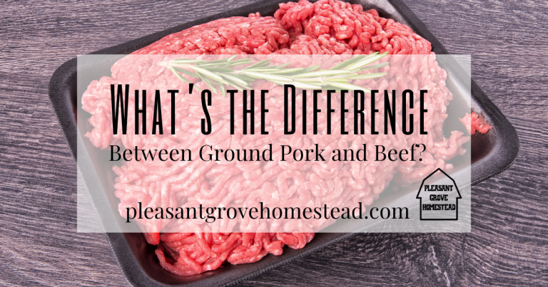 What’s the Difference Between Ground Pork and Beef?